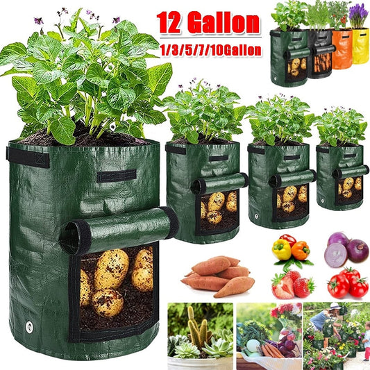 Indoor / Outdoor Vegetable Growing Bag