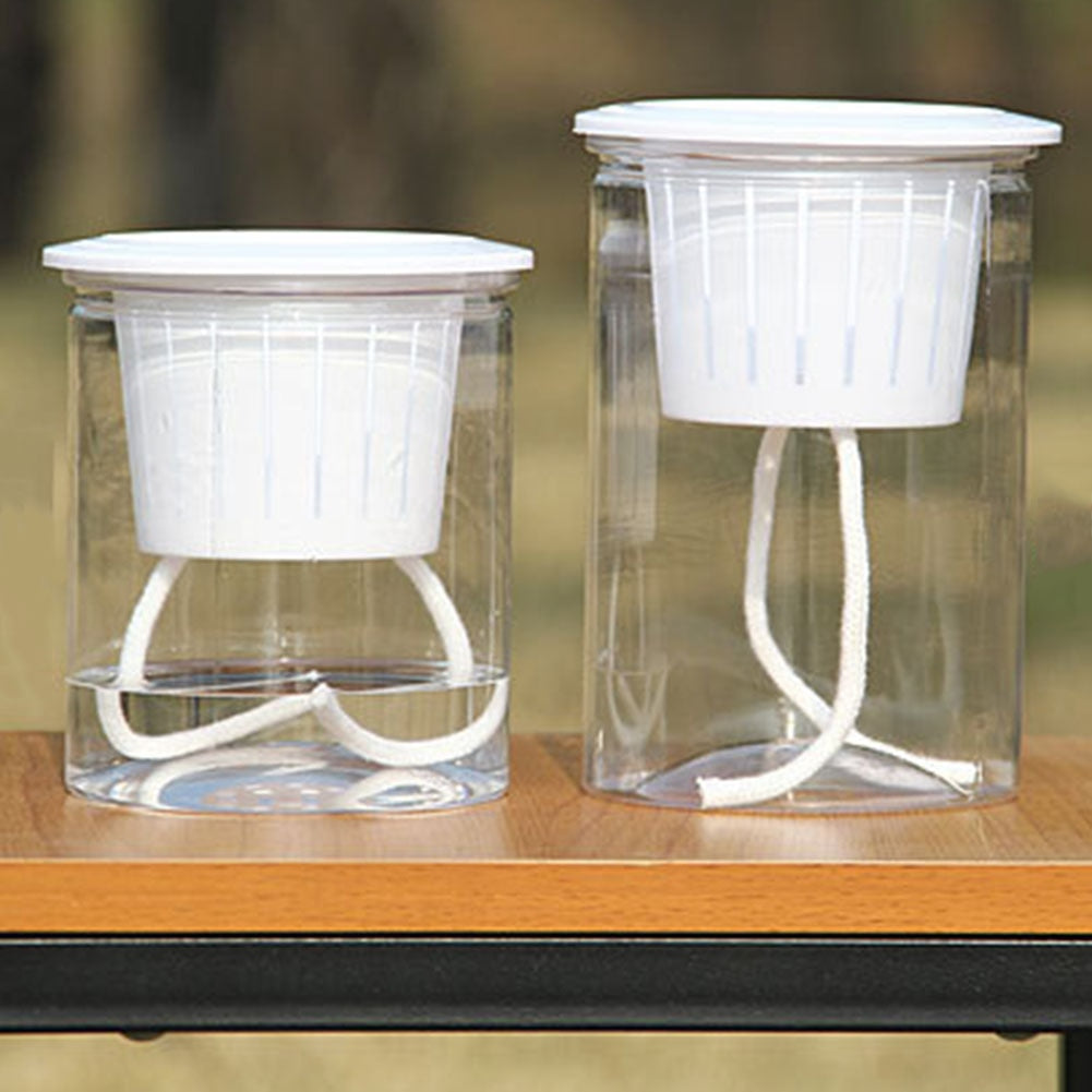 Clear Automatic Self Watering Pod