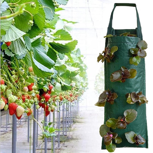 Hanging Grow Bag Strawberry / Flower Planter