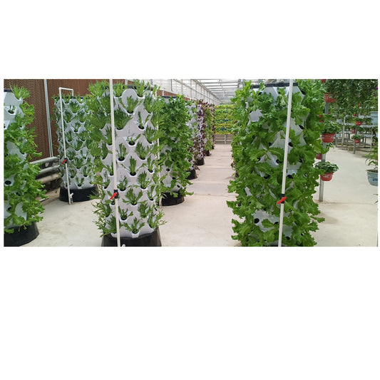 Vertical Indoor Grow System / Hydroponics